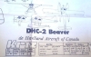 7001-500px_Kriz_Beaver_2_44m-01b.jpg